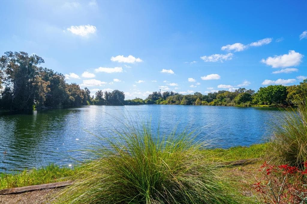 2402 PINE HAMMOCK, CLEARWATER, FL 33764 — zdjęcie 3