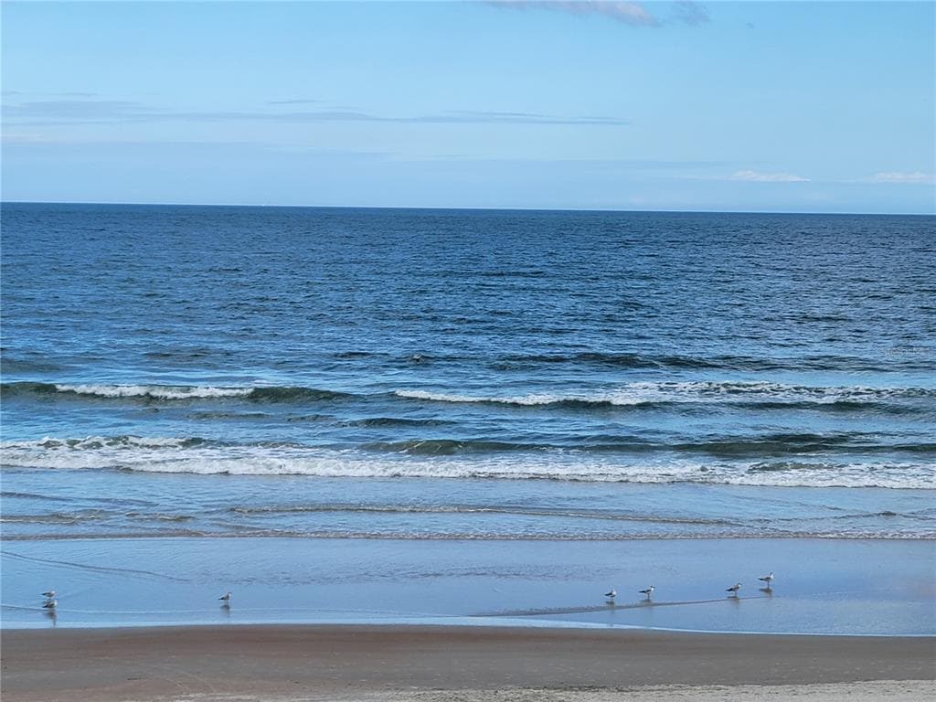 2301 S ATLANTIC AVENUE # 238, DAYTONA BEACH, FL 32118 — zdjęcie 5