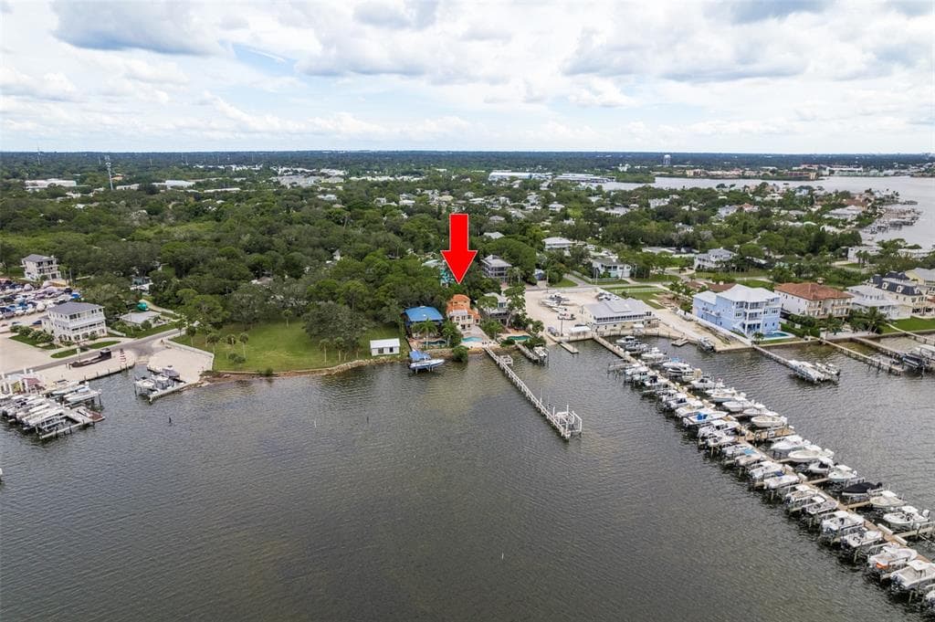 302 SHORE DRIVE, PALM HARBOR, FL 34683 — zdjęcie 3