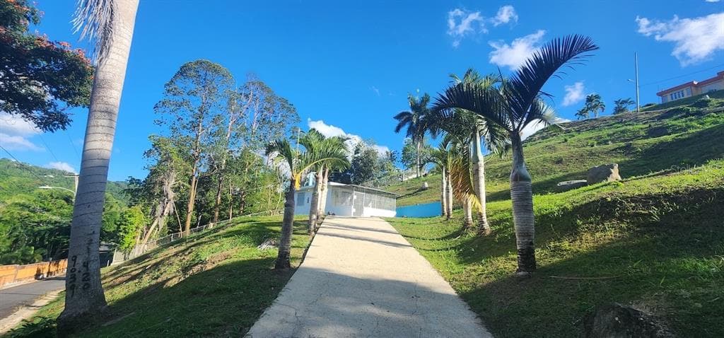 KM 12.2 INT LAS PAPAYAS RD (SR-185) # Lots A and B, CAROLINA, PR 00987