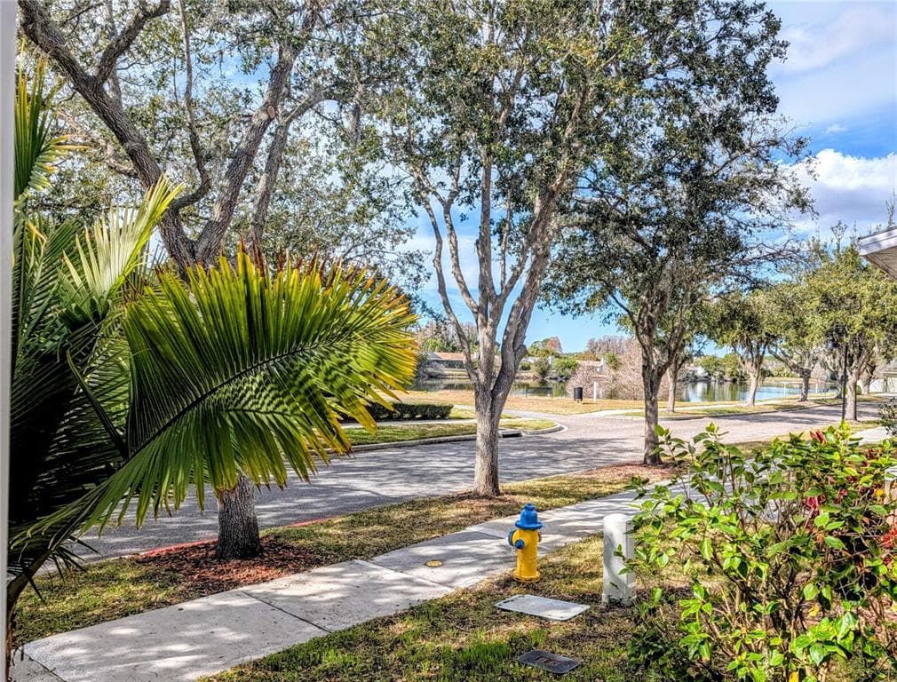 3618 BUFFETT STREET, NEW PORT RICHEY, FL 34655 — zdjęcie 5