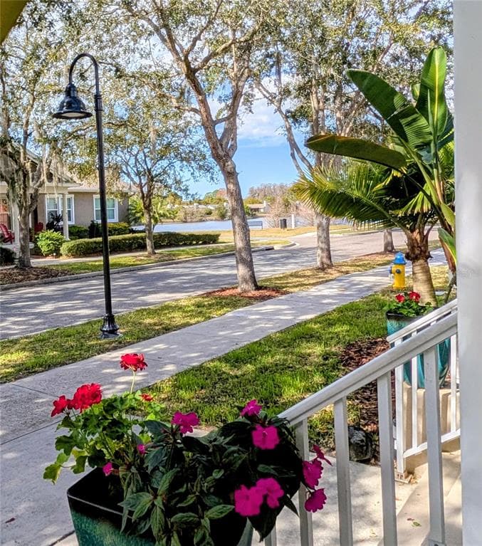 3618 BUFFETT STREET, NEW PORT RICHEY, FL 34655 — zdjęcie 4