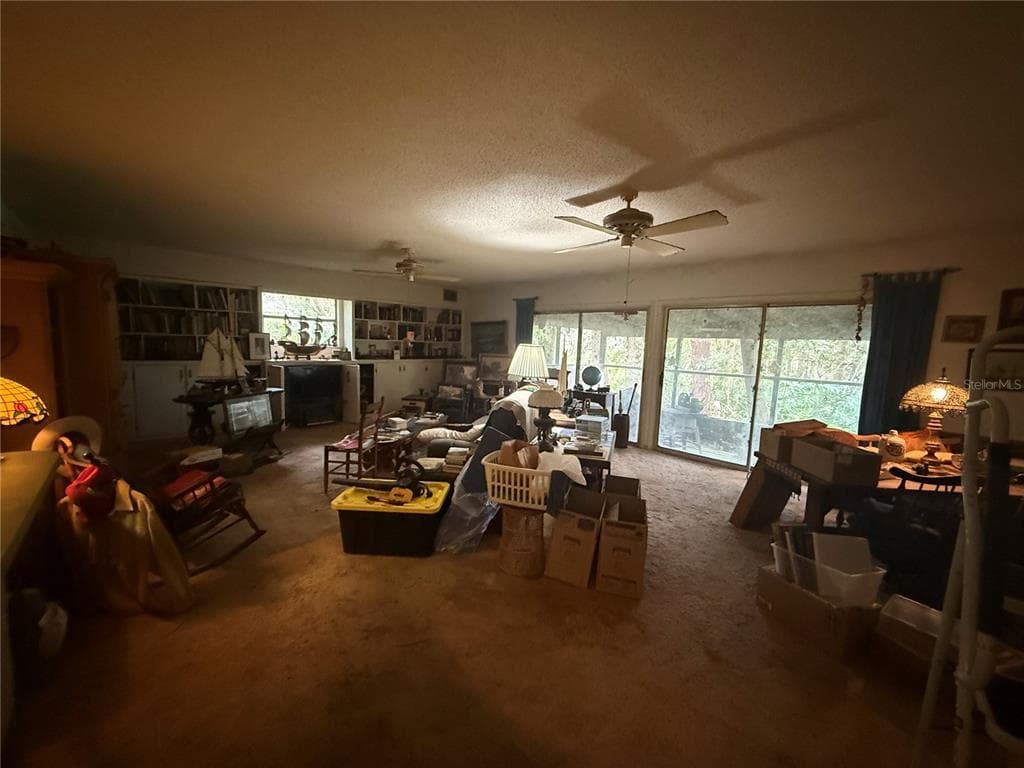 37315 BEACH DRIVE, UMATILLA, FL 32784 — zdjęcie 2