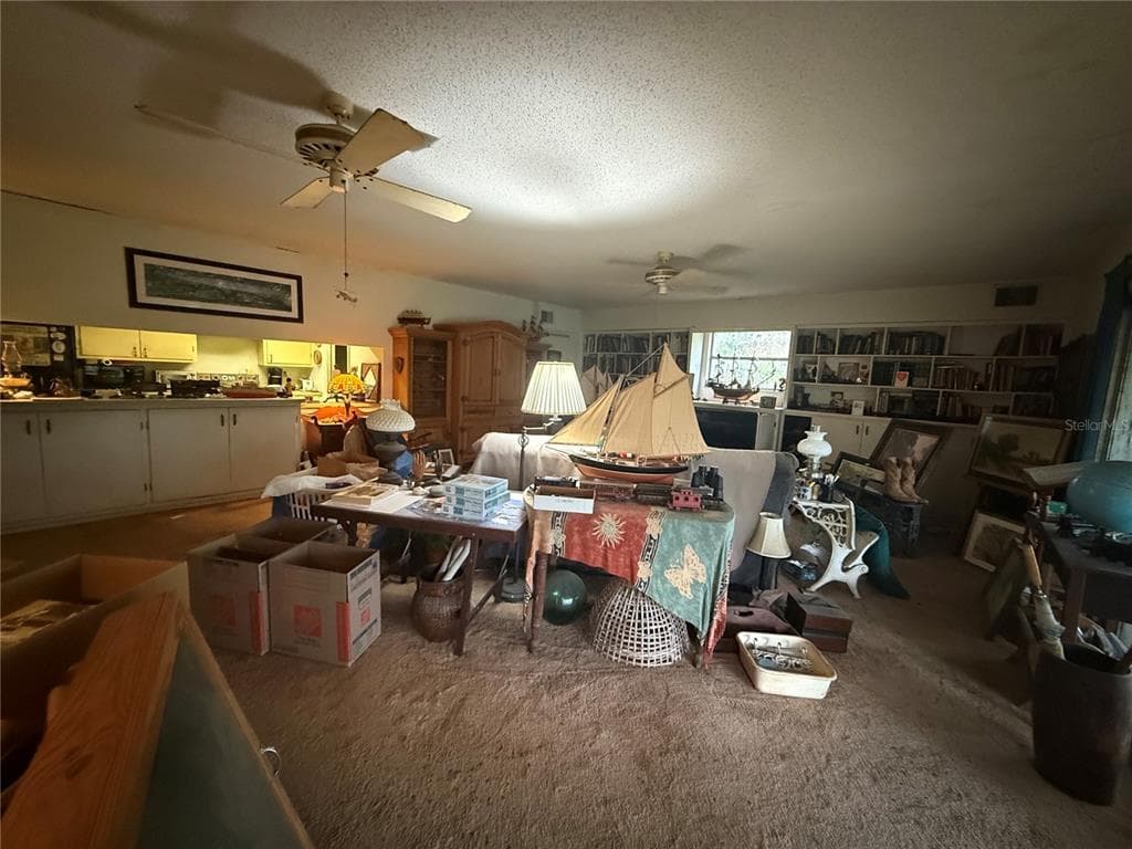 37315 BEACH DRIVE, UMATILLA, FL 32784 — zdjęcie 3