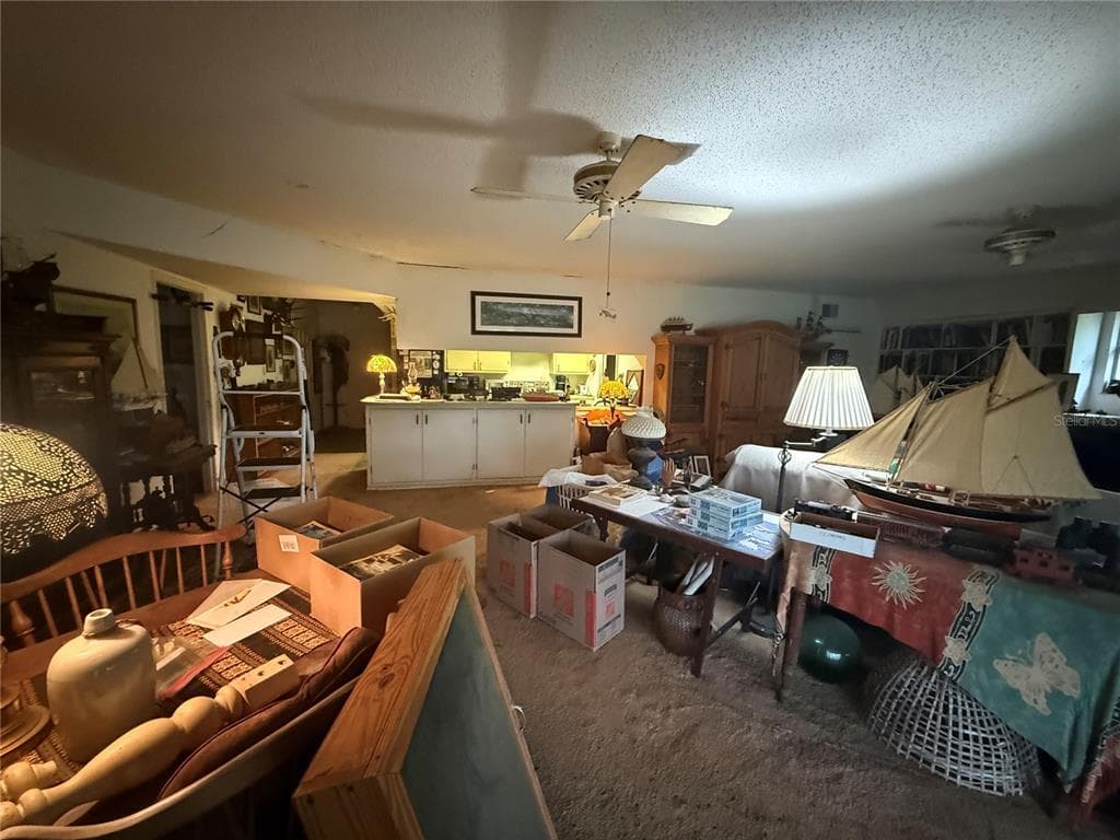 37315 BEACH DRIVE, UMATILLA, FL 32784 — zdjęcie 4