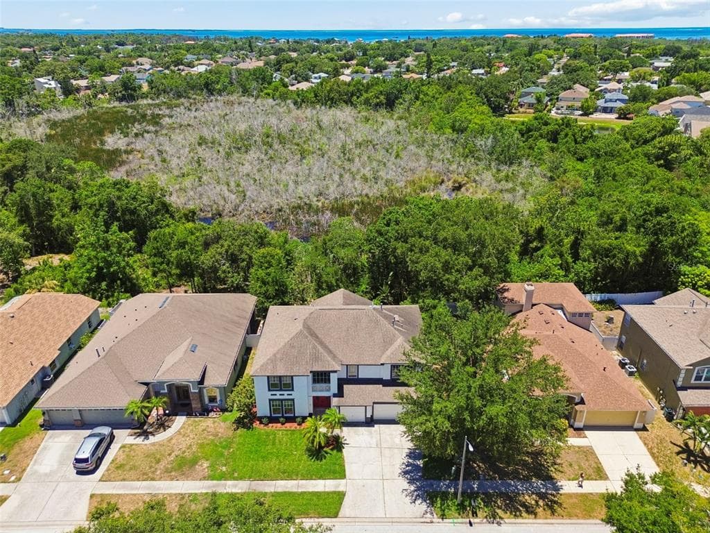 1828 LONGVIEW LANE, TARPON SPRINGS, FL 34689 — zdjęcie 3