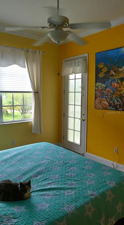6801 DALI AVENUE # 206, LAND O LAKES, FL 34637 — zdjęcie 4