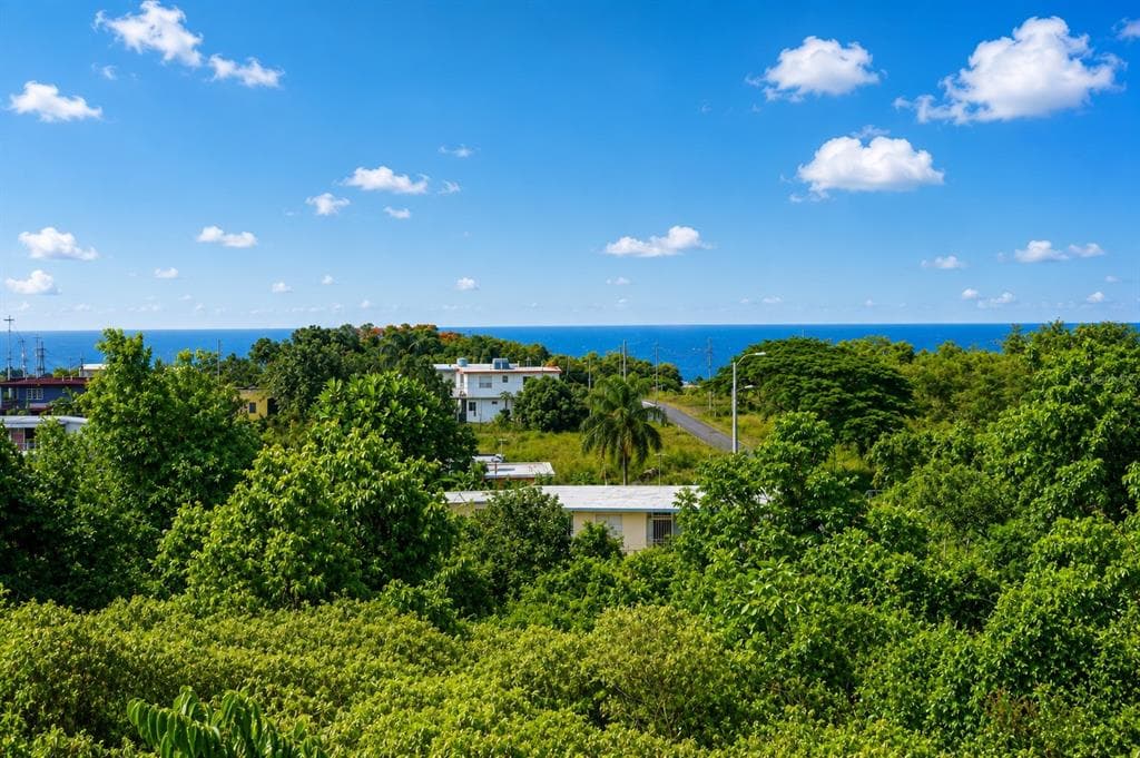 8466 CALLE LOS LUGO, QUEBRADILLAS, PR 00678 — zdjęcie 4