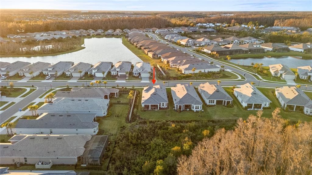 4618 ISONZO WAY, WESLEY CHAPEL, FL 33543 — zdjęcie 2