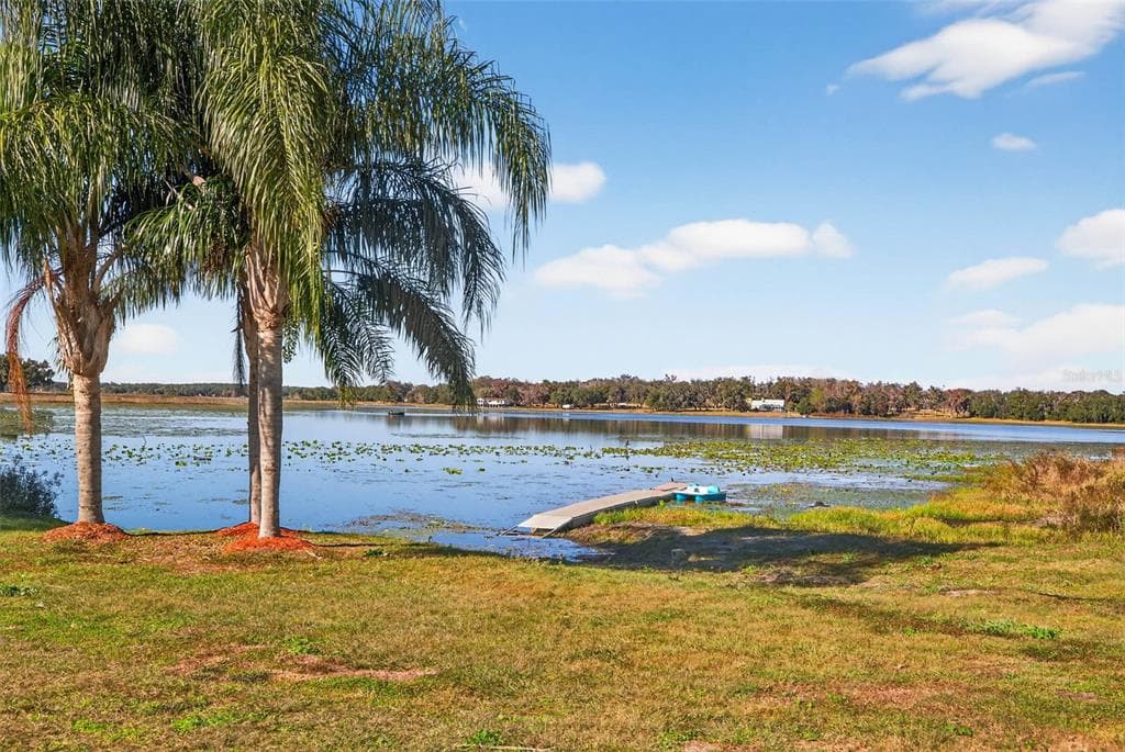 36649 COVINGTON ROAD, DADE CITY, FL 33525 — zdjęcie 4