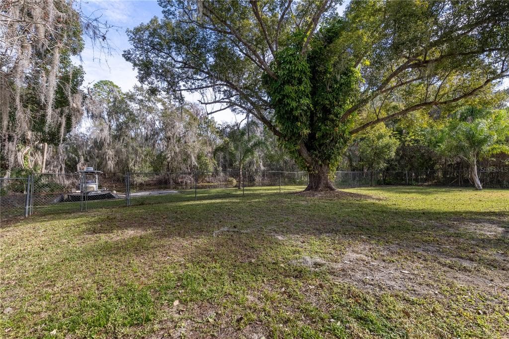 11807 OCKLAWAHA DRIVE, LEESBURG, FL 34788 — zdjęcie 3