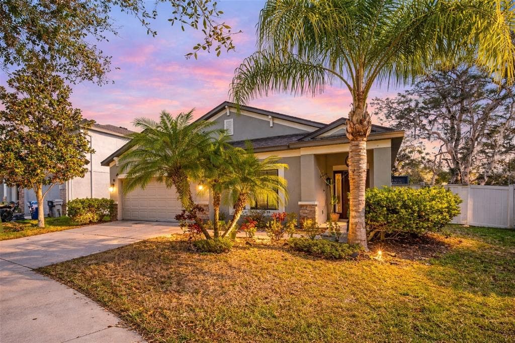 11652 PALMETTO PINE STREET, RIVERVIEW, FL 33569 — zdjęcie 3