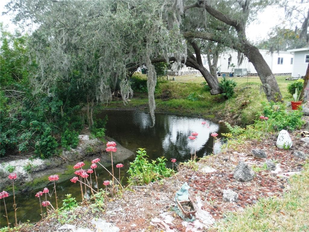 90 SUGAR BEAR DRIVE # 53, SAFETY HARBOR, FL 34695 — zdjęcie 2