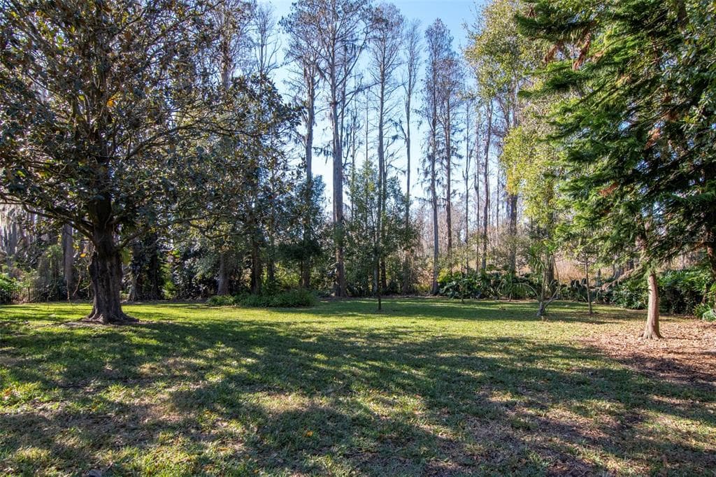 18306 PLEASANT RIDGE PLACE, LUTZ, FL 33548 — zdjęcie 3