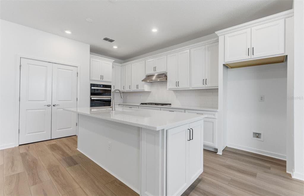 6979 DEPUE DRIVE, WESLEY CHAPEL, FL 33545 — zdjęcie 3