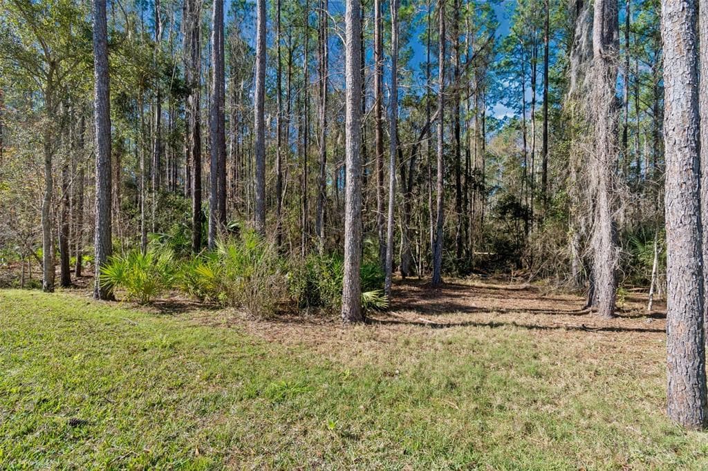 4905 MAJESTIC HILLS LOOP, BROOKSVILLE, FL 34601 — zdjęcie 3