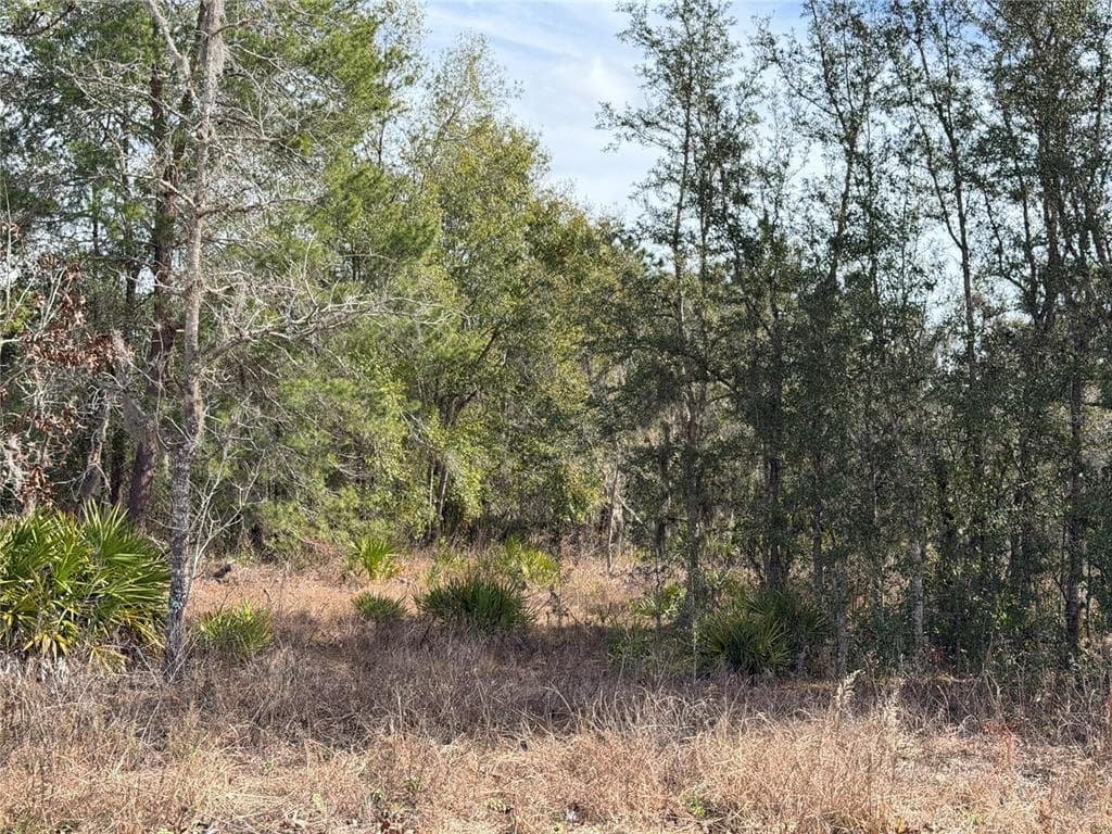16426 COURLAN ROAD, BROOKSVILLE, FL 34614 — zdjęcie 5
