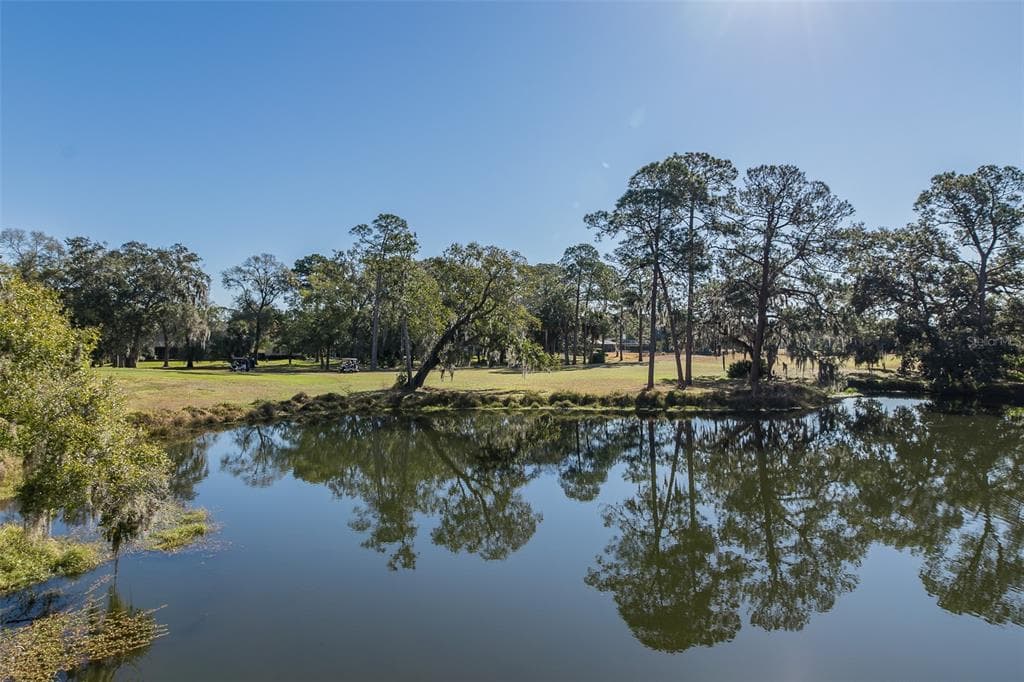 2676 TANGLEWOOD TRAIL, PALM HARBOR, FL 34685 — zdjęcie 4