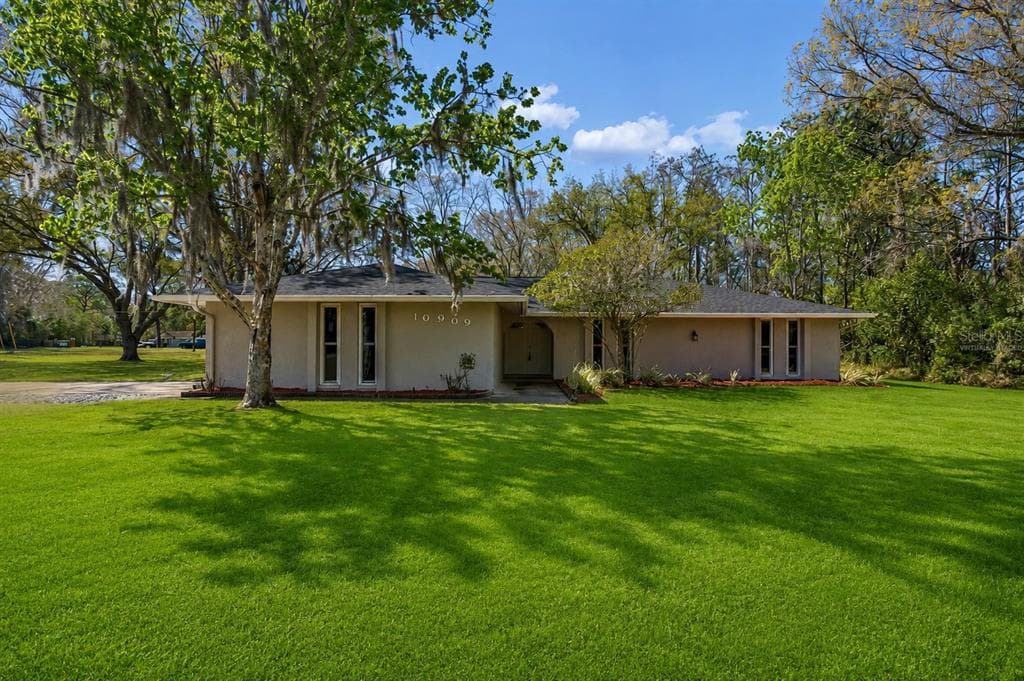 10909 CANDY LANE, NEW PORT RICHEY, FL 34654 — zdjęcie 2