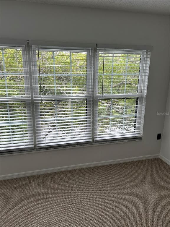 2462 KINGFISHER LANE # J203, CLEARWATER, FL 33762 — zdjęcie 3