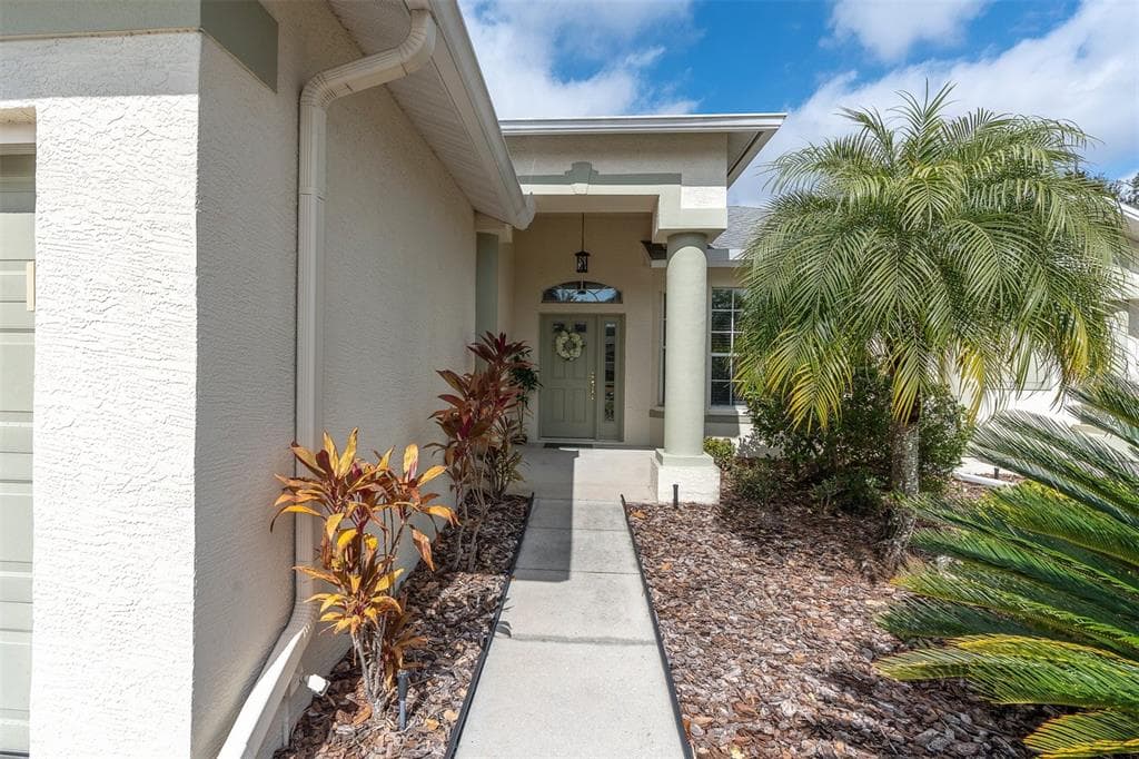11429 HIDDEN COVE CT., TRINITY, FL 34655 — zdjęcie 3