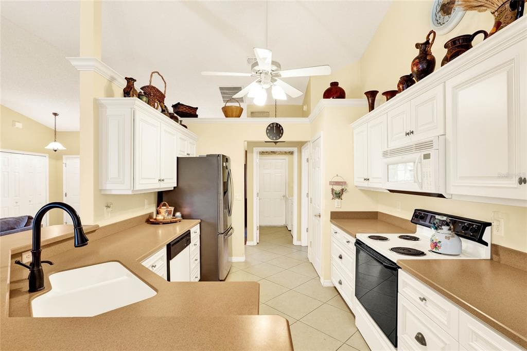 4721 TARA VIEW ROAD, LEESBURG, FL 34748 — zdjęcie 3
