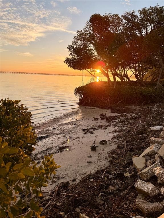 2980 HAINES BAYSHORE ROAD # 124, CLEARWATER, FL 33760 — zdjęcie 5