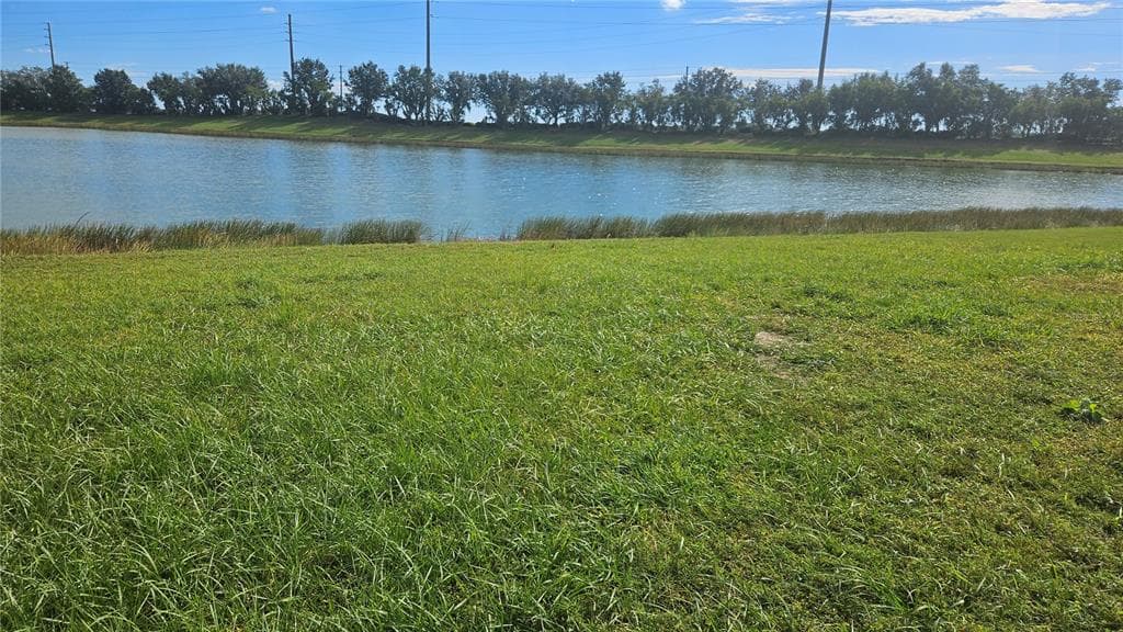 6836 ARAMON COURT, WESLEY CHAPEL, FL 33545 — zdjęcie 3