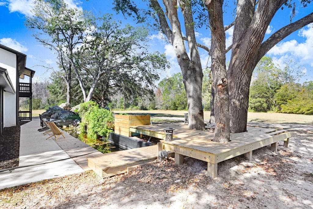 17308 TOBACCO ROAD, LUTZ, FL 33558 — zdjęcie 2