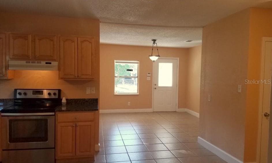 2921 W WALNUT STREET, TAMPA, FL 33607 — zdjęcie 4