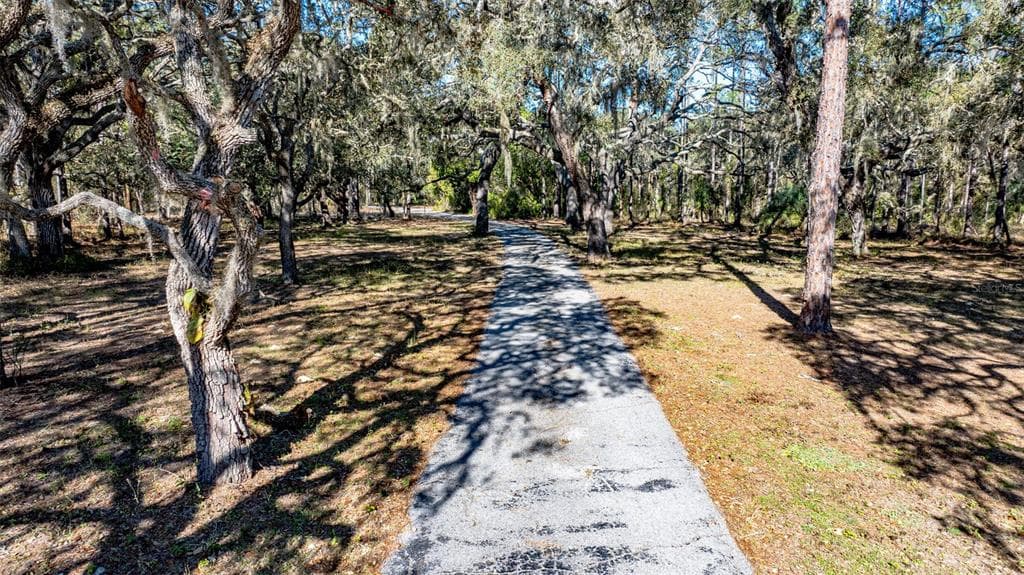 13615 TYRONE STREET, HUDSON, FL 34667 — zdjęcie 5