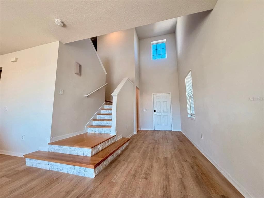 11415 GREEN HARVEST DRIVE, RIVERVIEW, FL 33578 — zdjęcie 4