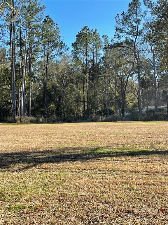 10379 NE HIGHWAY 314, SILVER SPRINGS, FL 34488 — zdjęcie 5