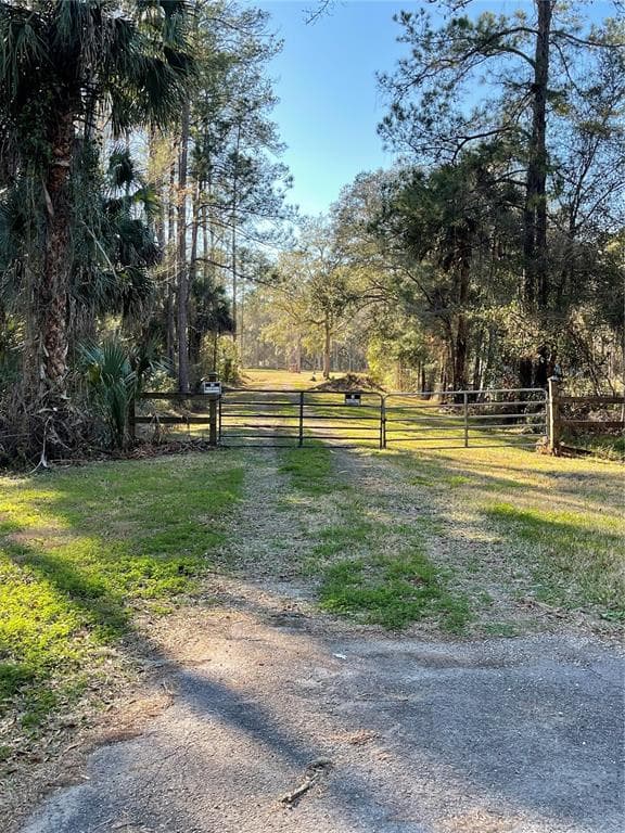 10379 NE HIGHWAY 314, SILVER SPRINGS, FL 34488 — zdjęcie 4