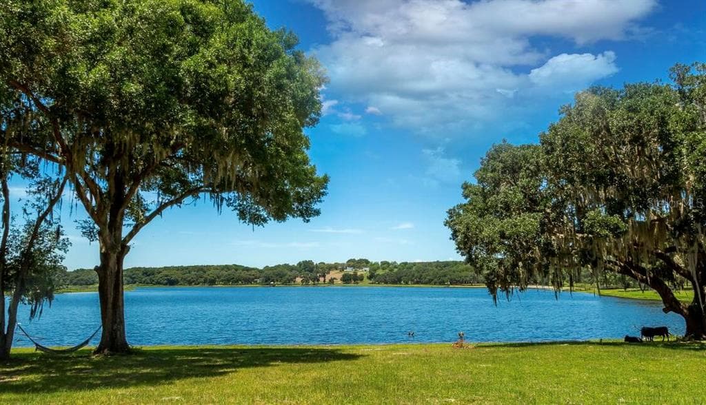 34710 CLAYTON ROAD, DADE CITY, FL 33523 — zdjęcie 3