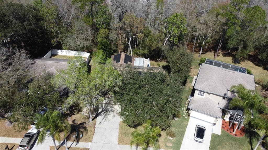 1795 BAYHILL DRIVE, OLDSMAR, FL 34677 — zdjęcie 3