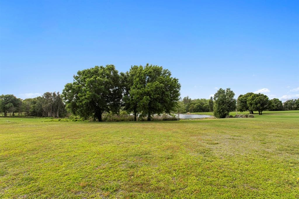 17253 BREEDERS CUP DRIVE, ODESSA, FL 33556 — zdjęcie 3