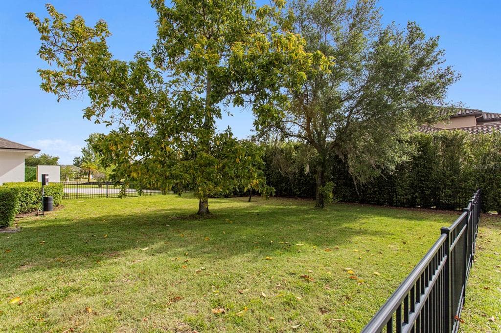 17253 BREEDERS CUP DRIVE, ODESSA, FL 33556 — zdjęcie 5