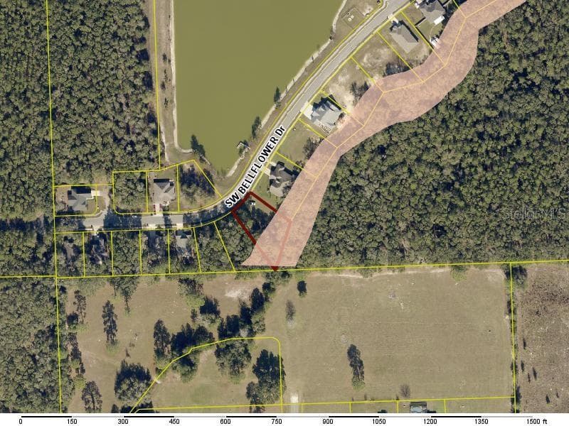 569 SW BELLFLOWER DRIVE, LAKE CITY, FL 32024 — zdjęcie 2