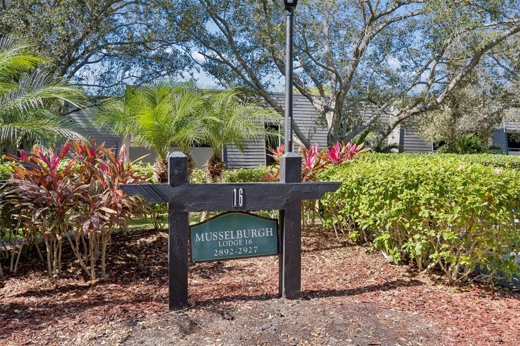 36750 US HIGHWAY 19 N # 16210, PALM HARBOR, FL 34684 — zdjęcie 2