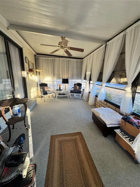 34335 TIMBERLAND BOULEVARD, WESLEY CHAPEL, FL 33543 — zdjęcie 4