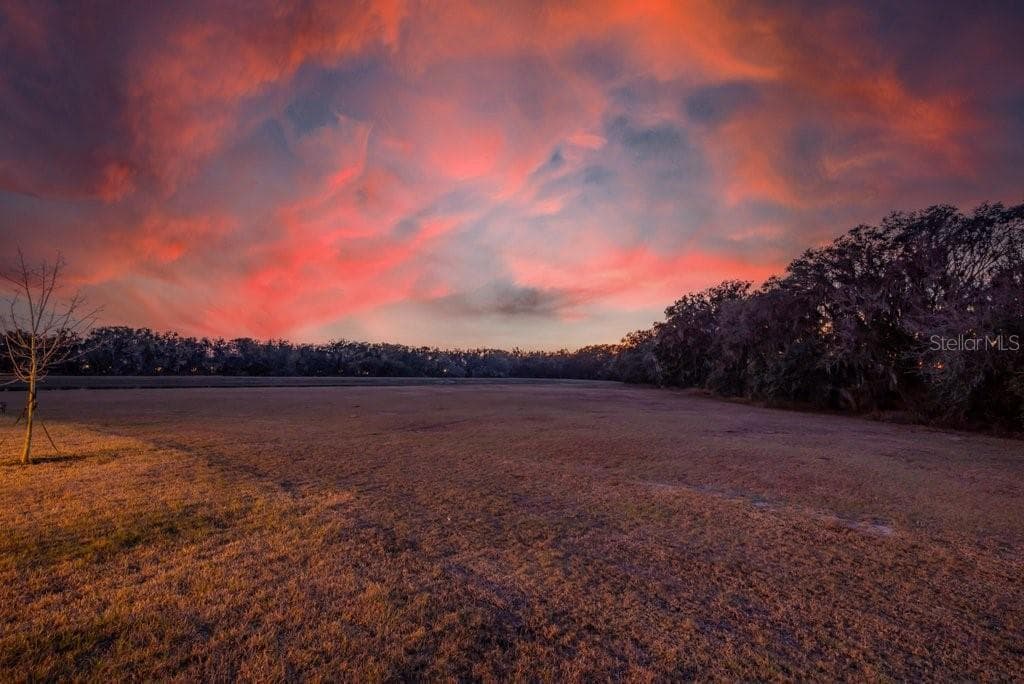 14604 HORSE TROT ROAD, LITHIA, FL 33547 — zdjęcie 3