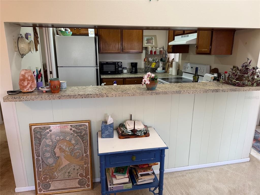 1051 S HIGHLAND STREET # 3D, MOUNT DORA, FL 32757 — zdjęcie 5