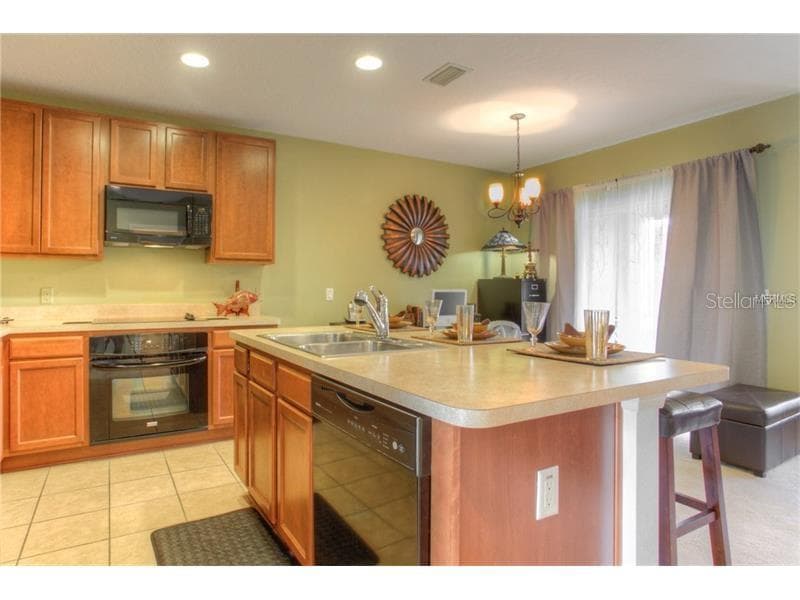 2955 WILLOWLEAF LANE, WESLEY CHAPEL, FL 33544 — zdjęcie 5