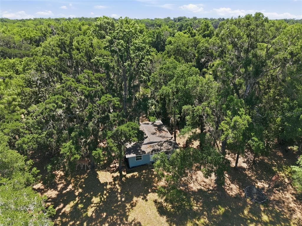 16145 SNOW MEMORIAL HIGHWAY, BROOKSVILLE, FL 34601 — zdjęcie 2