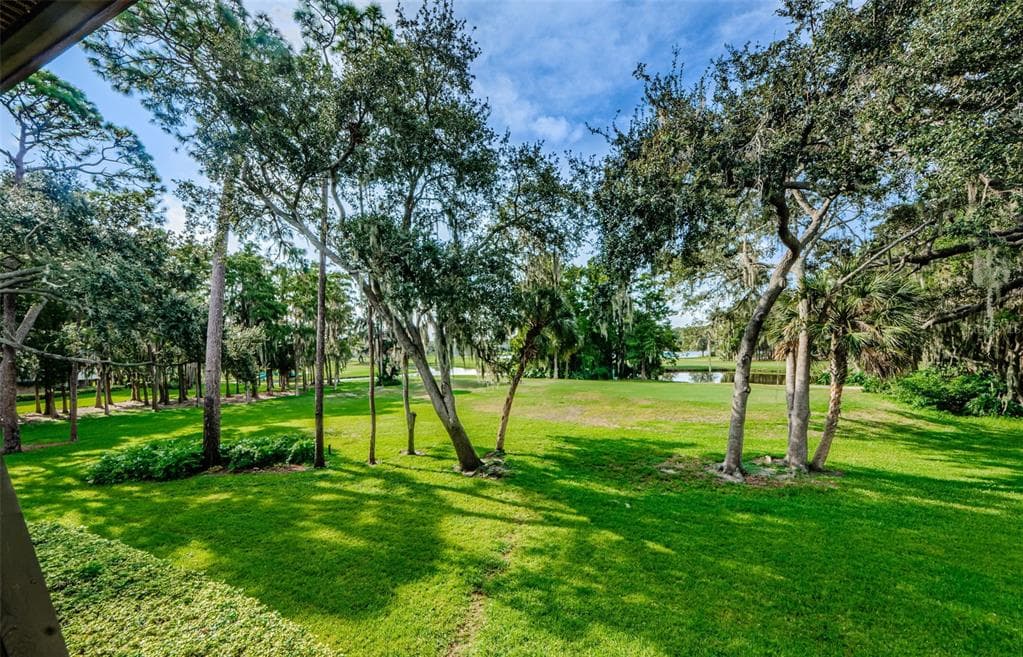36750 US HIGHWAY 19 N # 2177, PALM HARBOR, FL 34684 — zdjęcie 2