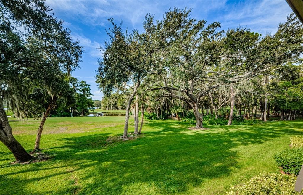 36750 US HIGHWAY 19 N # 2177, PALM HARBOR, FL 34684 — zdjęcie 3