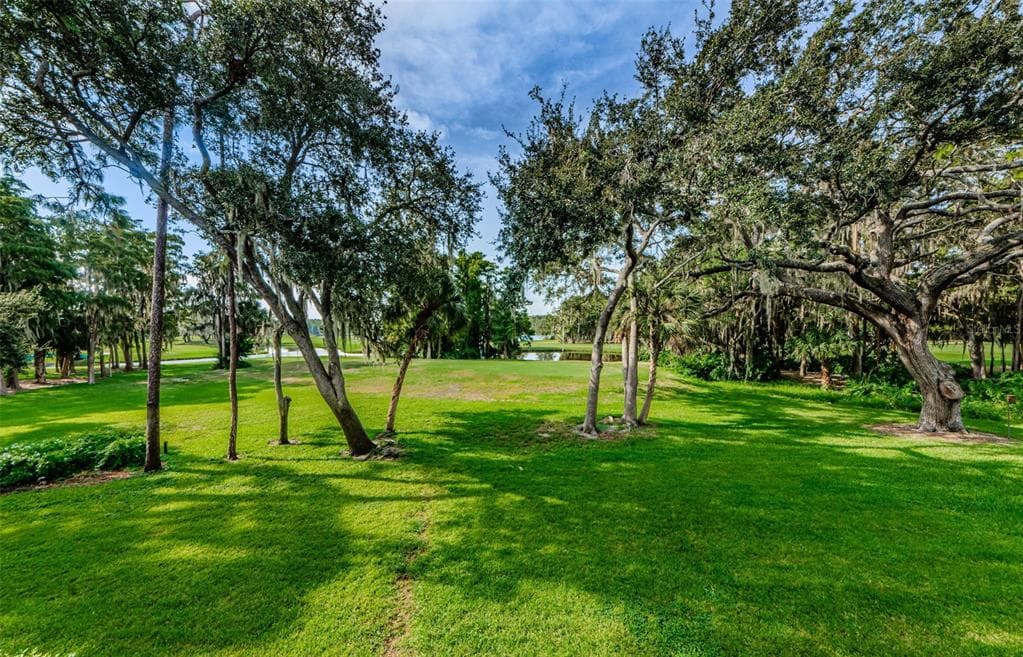 36750 US HIGHWAY 19 N # 2177, PALM HARBOR, FL 34684 — zdjęcie 4