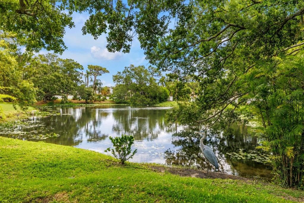 10495 LONGWOOD DRIVE, SEMINOLE, FL 33777 — zdjęcie 2