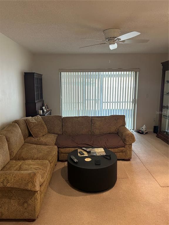 807 BUCKIE DRIVE, WINTER SPRINGS, FL 32708 — zdjęcie 4